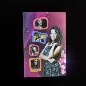 LED FRAME 12X18 INCH