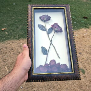 ROSE PRESERVATION FRAME